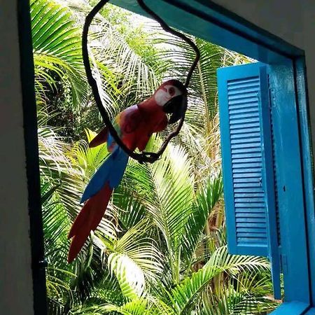 Casa Ilhabela A Cinco Minutos Do Centro Villa Kültér fotó