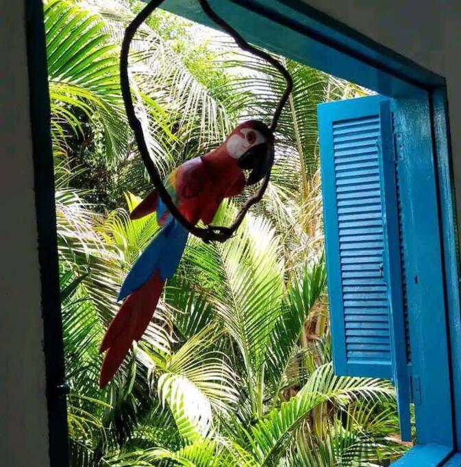 Casa Ilhabela A Cinco Minutos Do Centro Villa Kültér fotó